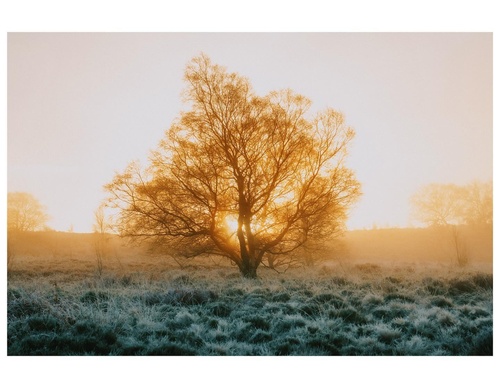 Gallery Of Photography By Daniel Casson - England
