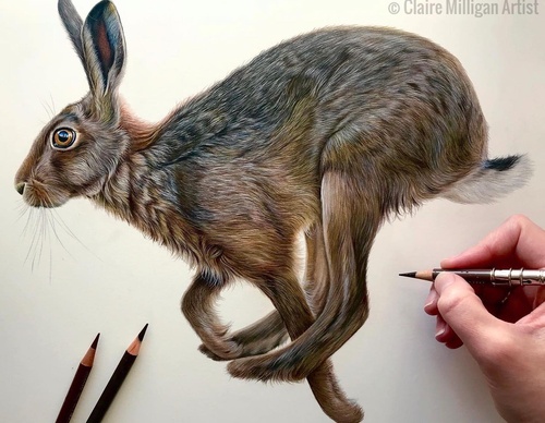 Gallery Of Realistic Painting By Claire Milligan - United Kingdom