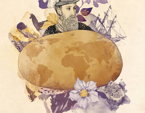 Gallery Of Illustration by Dóra Kisteleki - Hungary