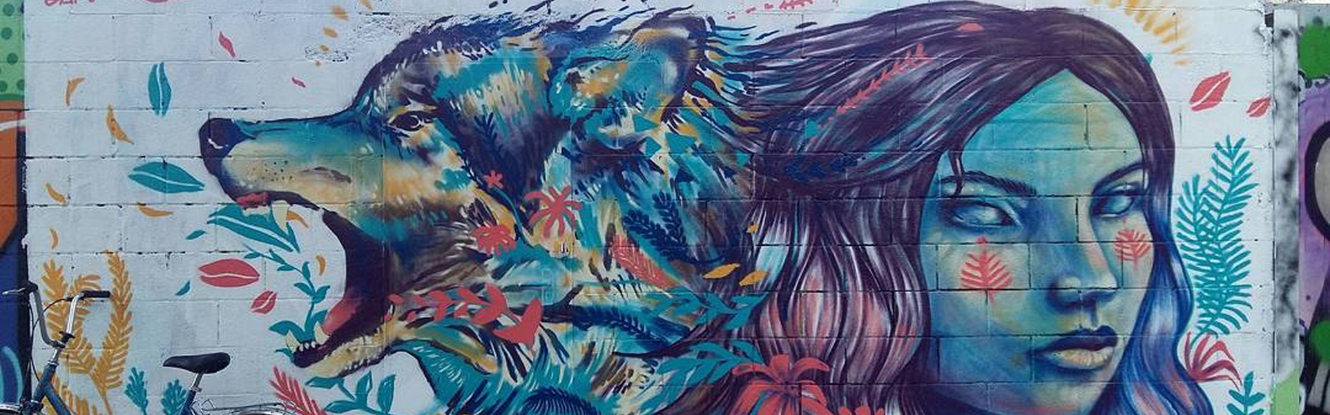 Gallery Of Street Art By Datura Cebil - Colombia