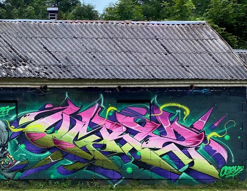 Galería de arte callejero de Ogryz - Brasil