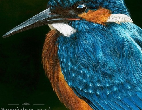 Galería de pintura realista de Annie Drew - Reino Unido