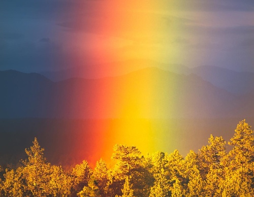 Galeria de fotografias de Nathaniel Wise - EUA