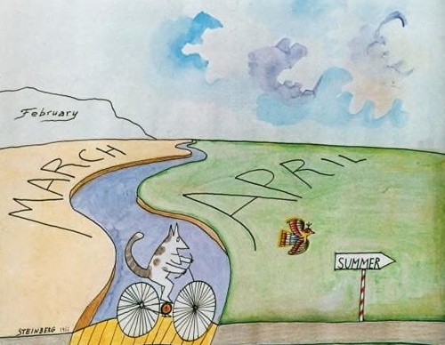 saul steinberg romania