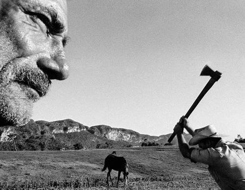 raul canibano