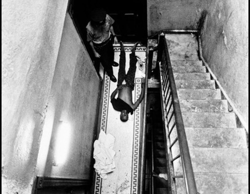 leonard freed