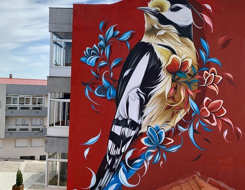 Gallery Of Street Art By Fio Silva - Argentina
