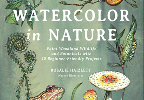 Aquarela na Natureza: Pinte a Vida Selvagem e as Plantas da Floresta com 20 Projetos para Iniciantes, de Rosalie Haizlett.