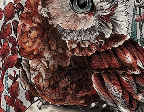 Galería de ilustraciones de Mallarie Bundy - EE. UU.