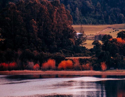 Gallery Of Photography By Sebastián Ojeda S - Chile