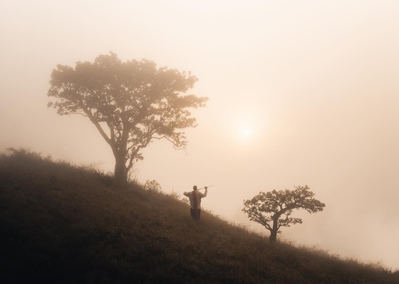 Gallery of Photography by Marius Krey - UK