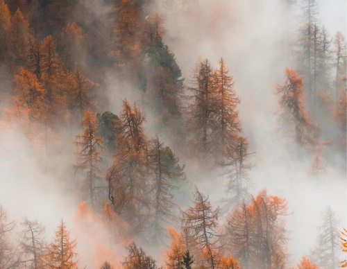 Galería de fotografías de Jan Pallmer - Alemania