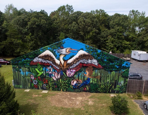 Gallery Of Street Art By Bailon - Brazil