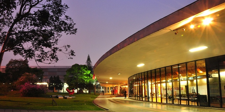 25 obras de arte contemporáneo de artistas latinoamericanos en el Museo de Arte Moderno de São Paulo