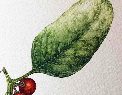 Gallery of Drawing by GiacoMina Ferrillo-Italy