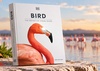 DK | BIRD: THE DEFINITIVE VISUAL GUIDE