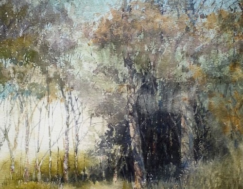 jorge swinnen