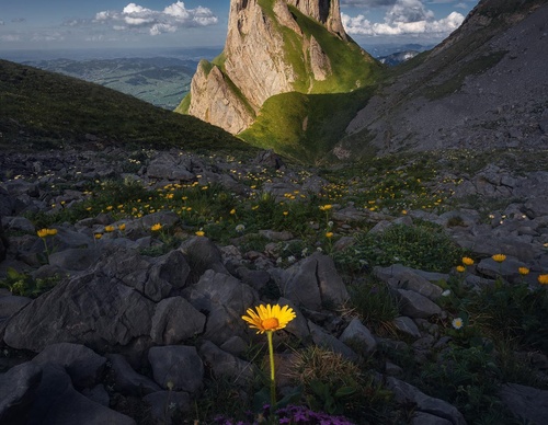 Gallery Of Photography By Marco Grassi - Argentina