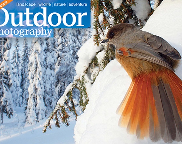 Outdoor Photography 2013 01