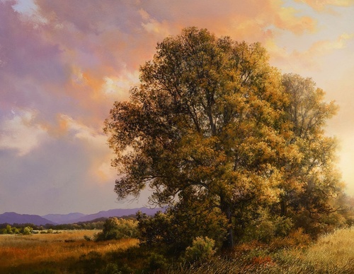 Gallery Of Painting By Andrew Orr - Mexico