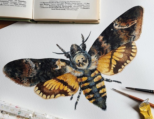 Gallery Of Painting By Rita Gould - United Kingdom