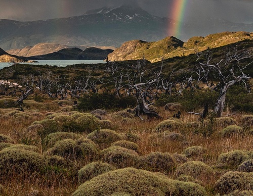 Gallery Of Photography By Timothy Dhalleine - Chile
