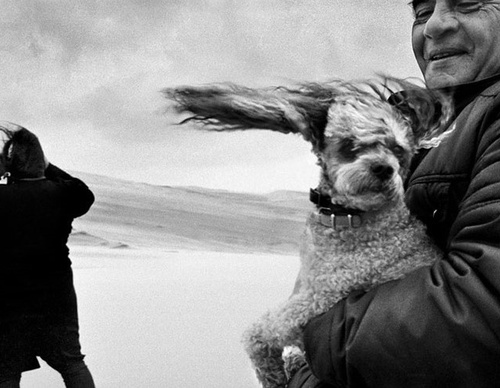 Gallery of Photography by Jean Gaumy – France