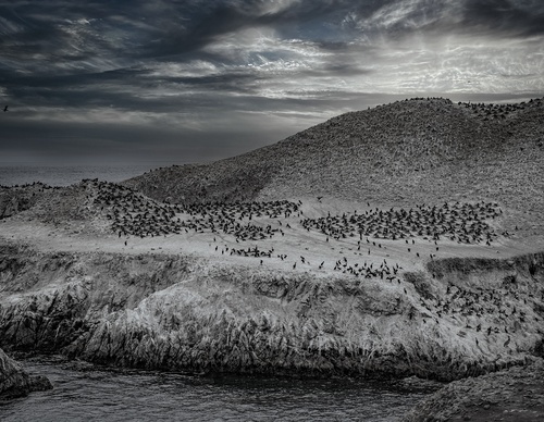 Galeria De Fotografia De Guillermo Bernaldo - Argentina