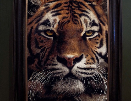 Galería de pintura realista de Annie Drew - Reino Unido