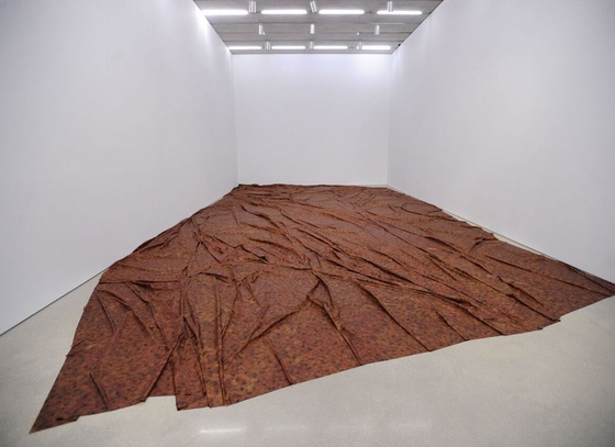 Doris Salcedo