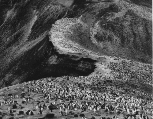 Galería de fotografía de Sebastião Salgado - Brasil