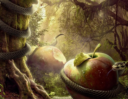 Galeria de ilustrações de Adam - Brasil