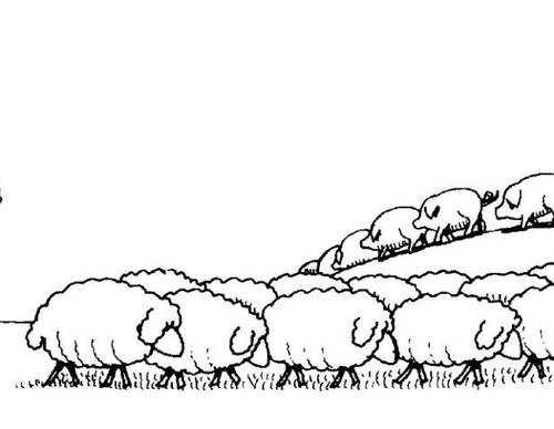 quino argentina