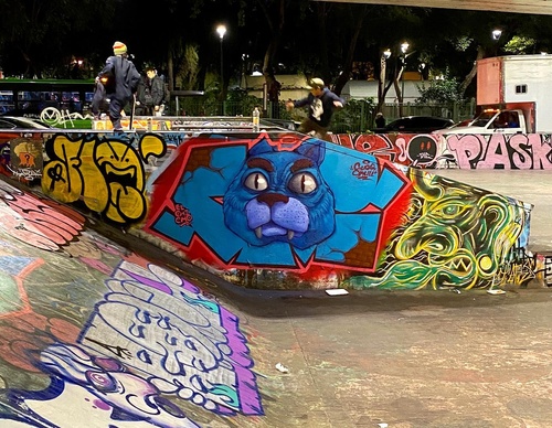 Gallery Of Street Art By Elchicho - Mexico