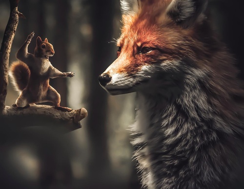 Galería de fotografías de Evgeny Gammer - Rusia