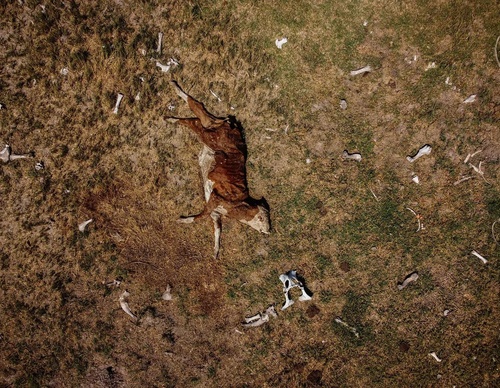 Galería de fotografía de Sebastián López Brach - Argentina