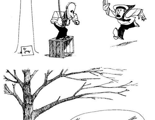 quino