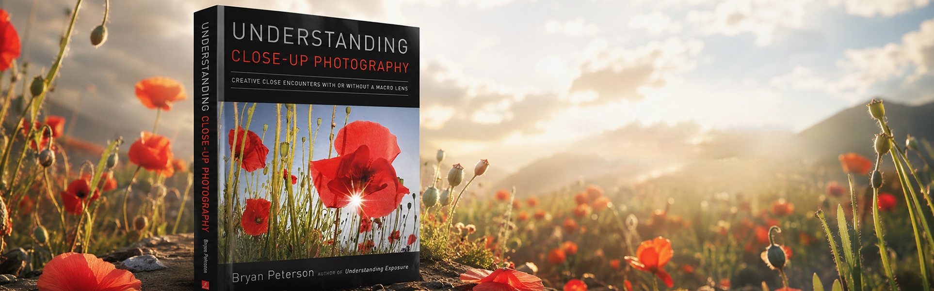 UNDERSTANDING CLOSE-UP PHOTOGRAPHY