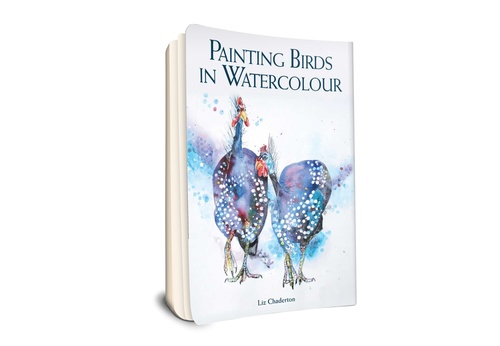 Pintando pássaros em aquarela por Liz Chaderton