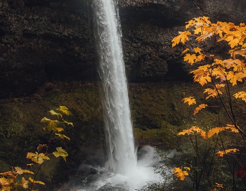 Galería de fotografías de Jared - Canadá