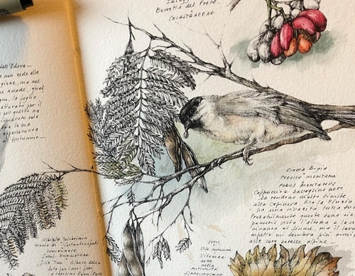 Gallery of Drawing by GiacoMina Ferrillo-Italy