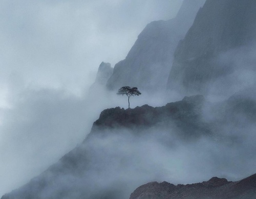 Gallery Of Photography By Khumais Idrees - Pakistan