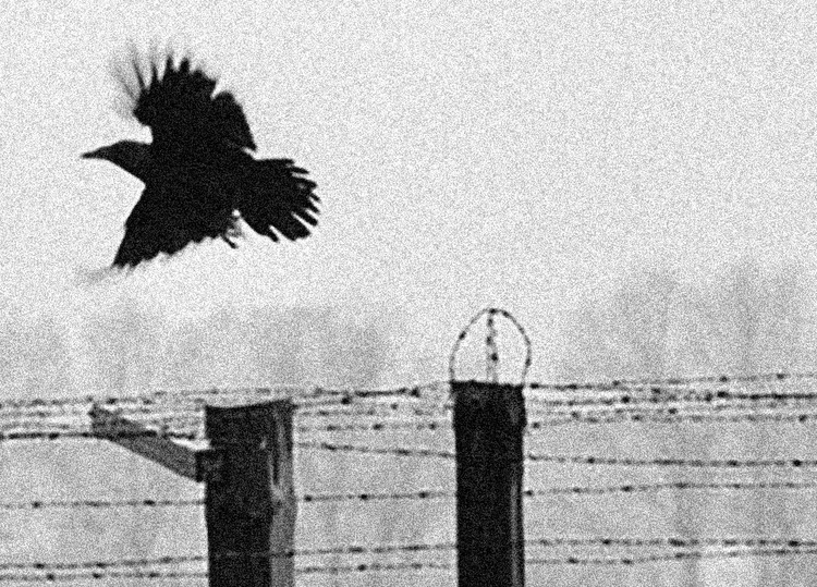 Gallery of Photography by Erich Hartmann