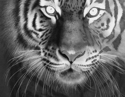 Gallery Of Realistic Painting By Emma Towers Evans - Brazil