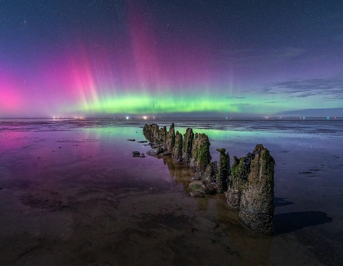 Gallery Of Photography By Albert Dros - Netherland