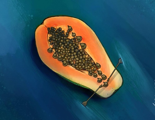 Gallery of Cartoon by Marcelo Chamorro - Ecuador