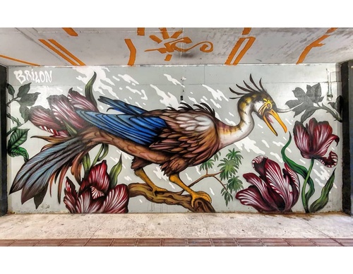 Gallery Of Street Art By Bailon - Brazil