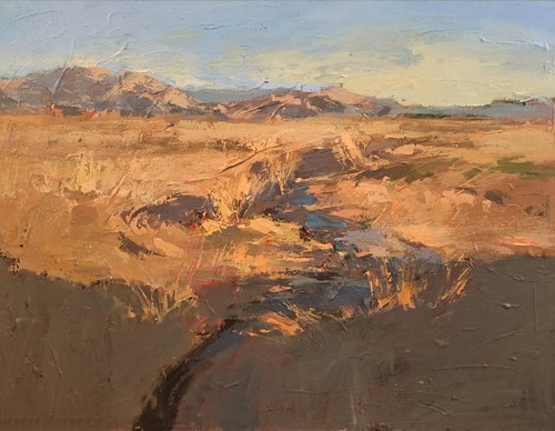 Gallery of Paintings by Shahin Arvin - Iran