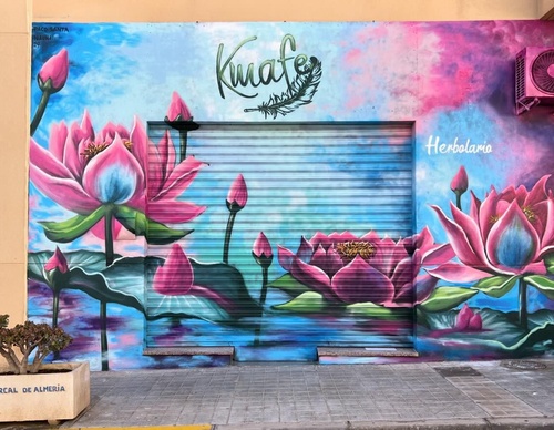 Galería de arte callejero de Nauni - España