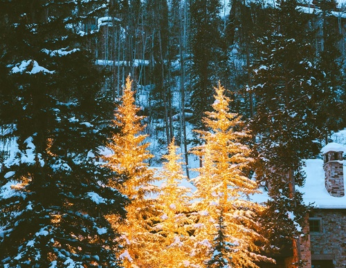 Galeria de fotografias de Nathaniel Wise - EUA